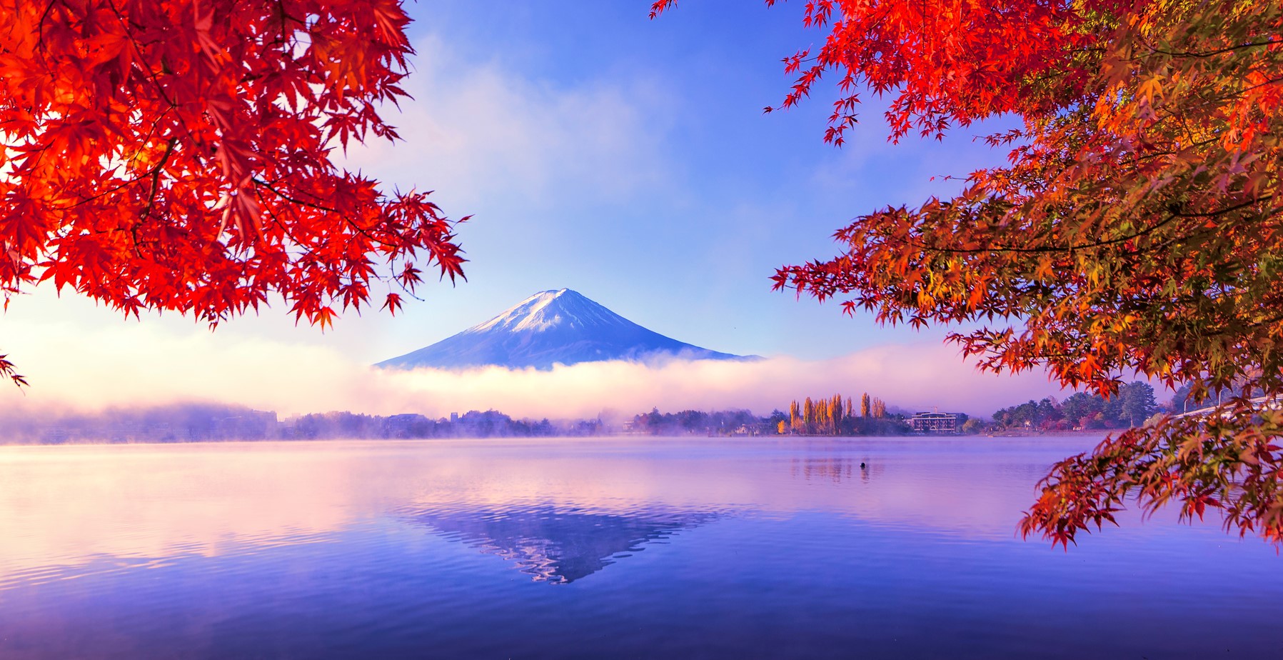 FSSA-fuji-autumn.jpg