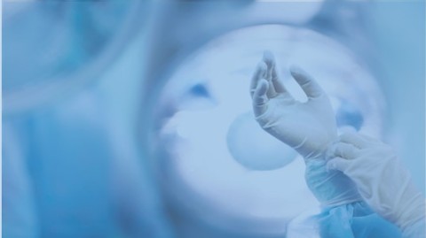 ri-paper-surgery-gloves