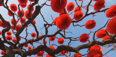 FSSA-APAC-tree-lanterns.jpg