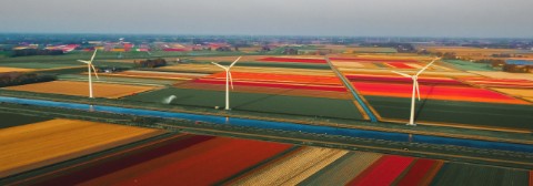 windfarm-hero.jpg