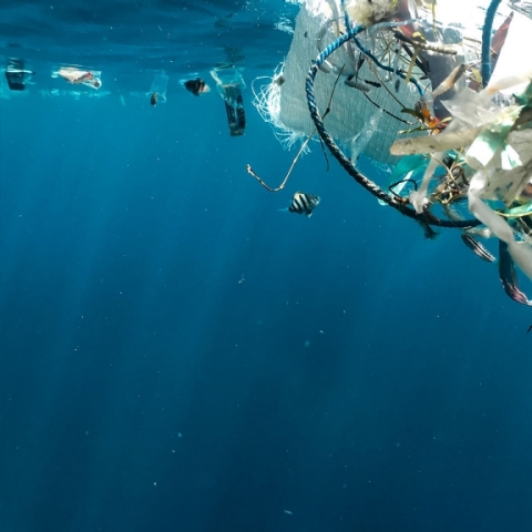 ocean-plastic-waste.jpg