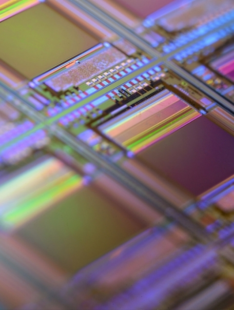 microchip.jpg